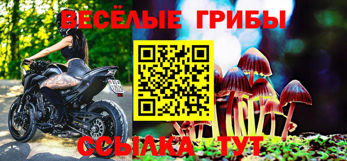 где найти наркотики  Вход с VPN  Кирово-Чепецк  Галлюциногенные грибы мицелий  Псилоцибиновые грибы мицелий 